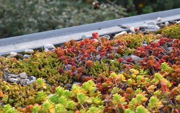 the cost of Doveridge green roof installation