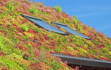 Doveridge living roof systems